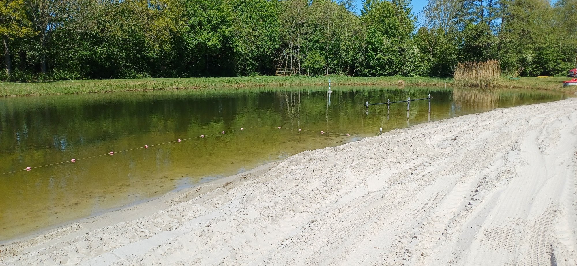 Schwimmteich