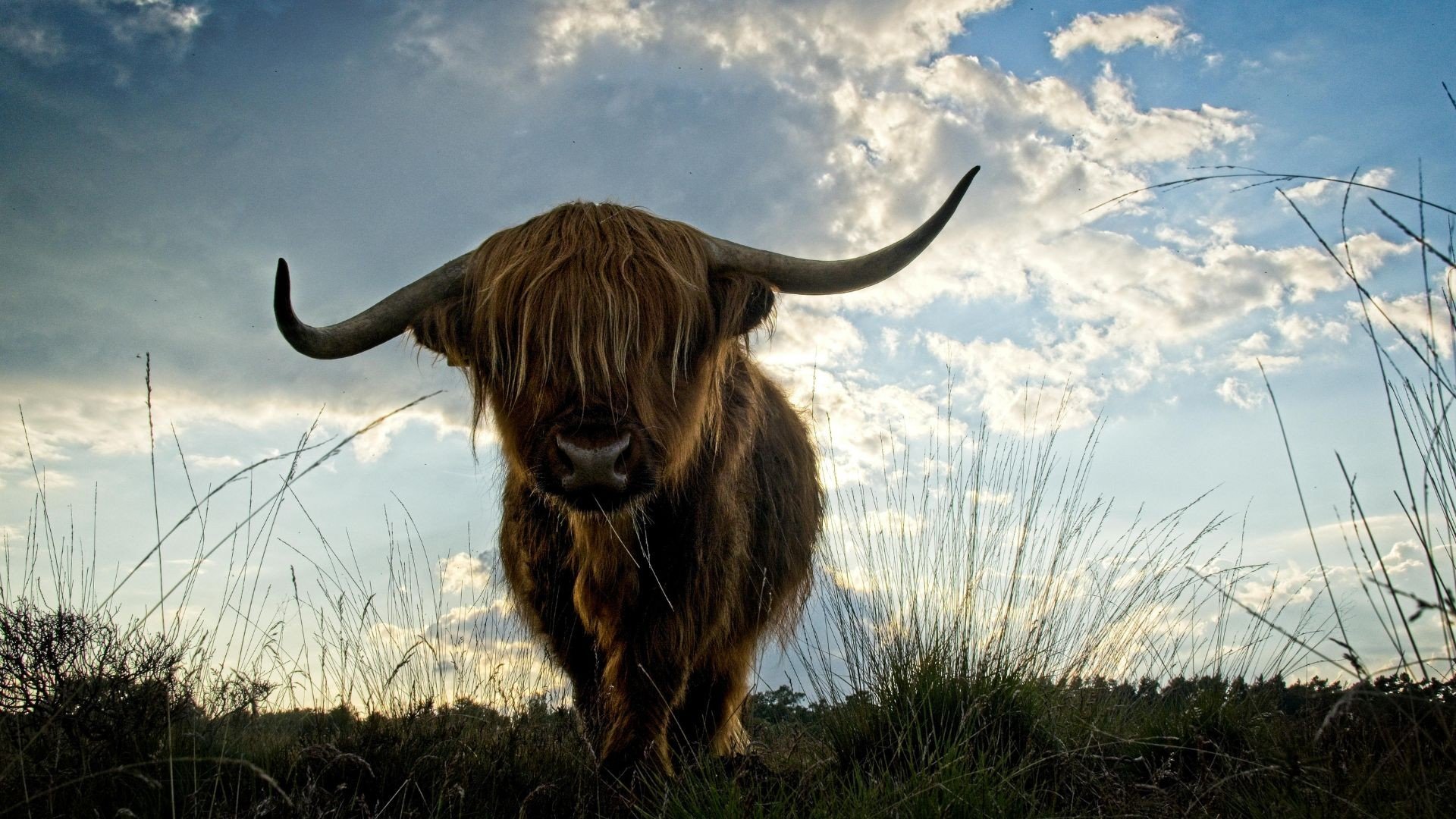 Nationalpark Drentsche Aa