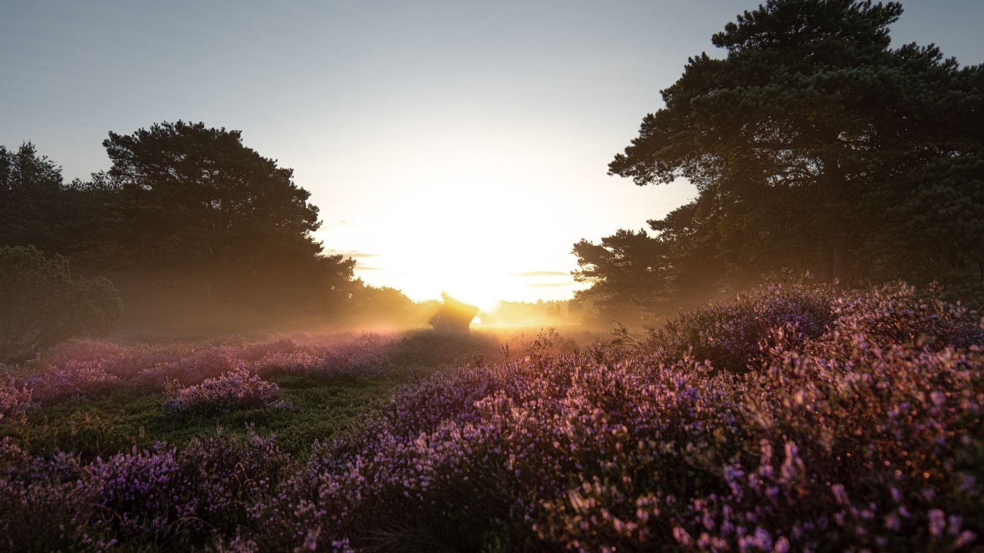 Naturgebiet De Duunsche Landen